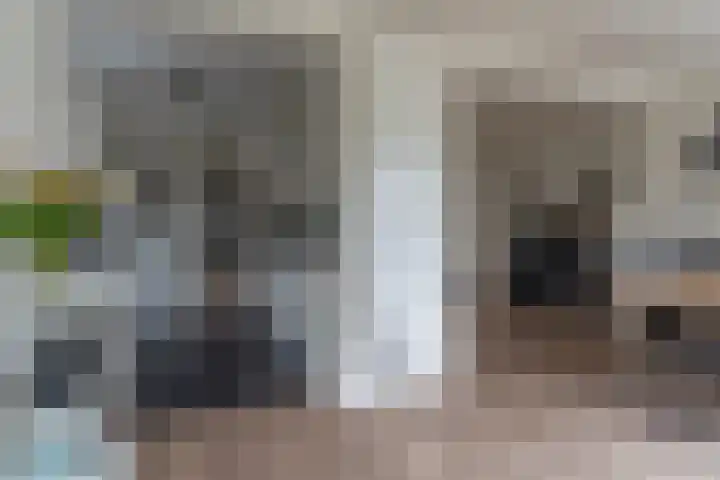 Gravinneweg 54 Sneek thumbnail 13