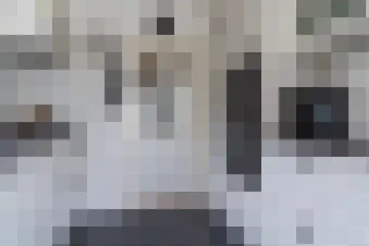 Gravinneweg 54 Sneek thumbnail 17