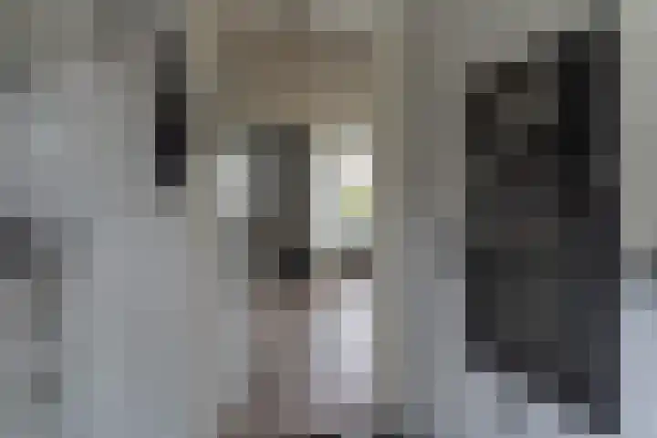 Gravinneweg 54 Sneek thumbnail 18
