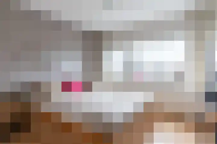 Gravinneweg 54 Sneek thumbnail 24