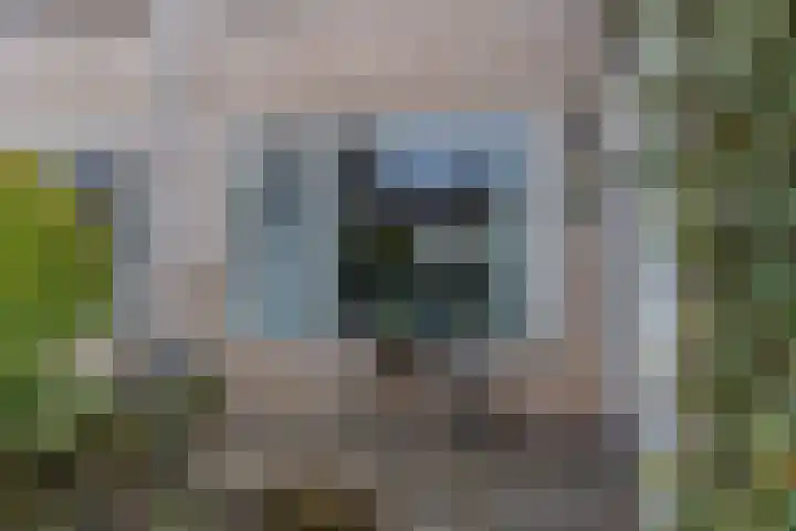 Gravinneweg 54 Sneek thumbnail 36