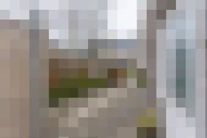 Gravinneweg 54 Sneek thumbnail 40