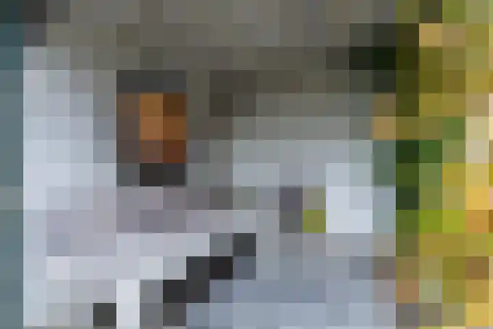 Gravinneweg 54 Sneek thumbnail 43