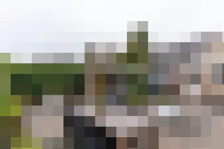 Gravinneweg 54 Sneek thumbnail 44