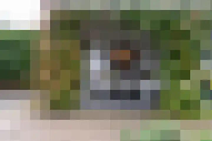 Gravinneweg 54 Sneek thumbnail 45