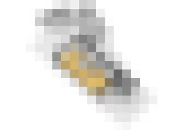 Gravinneweg 54 Sneek thumbnail 53