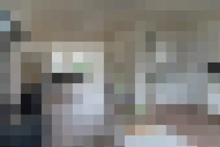 Gravinneweg 54 Sneek thumbnail 8
