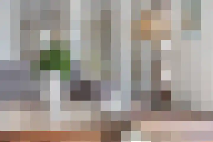 Graviuspad 12 Eindhoven thumbnail 15
