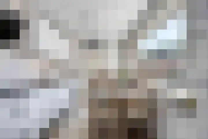 Graviuspad 12 Eindhoven thumbnail 16