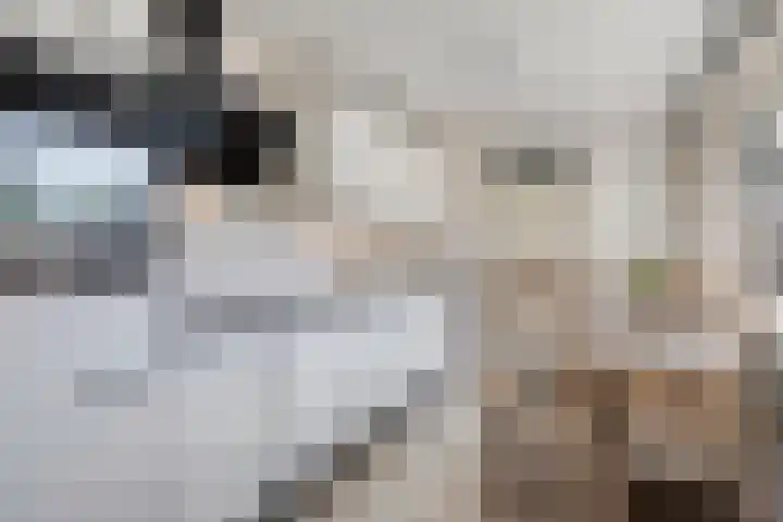 Graviuspad 12 Eindhoven thumbnail 17