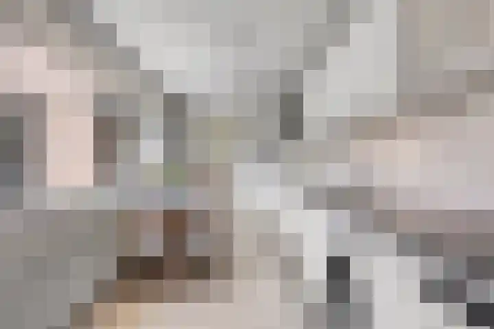 Graviuspad 12 Eindhoven thumbnail 20