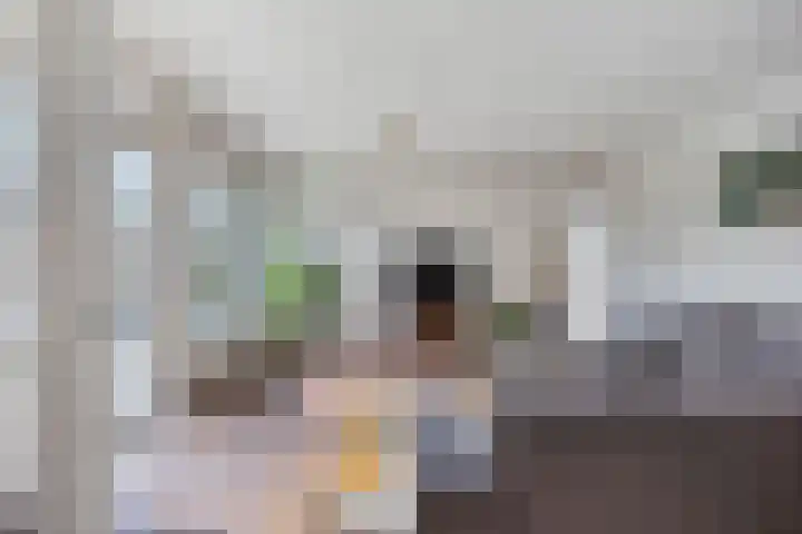 Graviuspad 12 Eindhoven thumbnail 9
