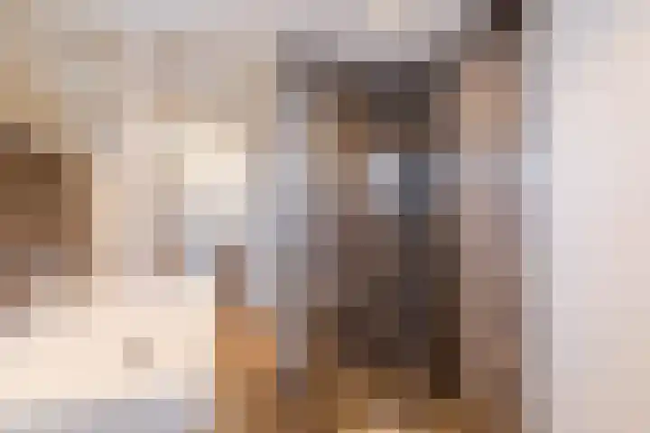 Graviuspad 4 Eindhoven thumbnail 18