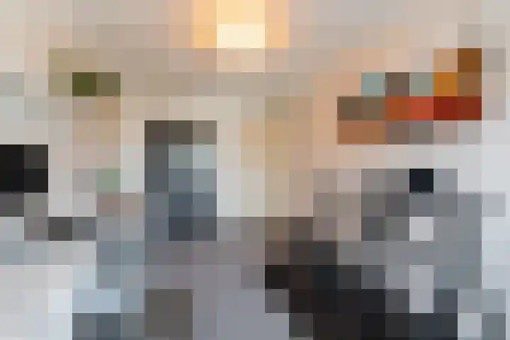 Graviuspad 4 Eindhoven thumbnail 26