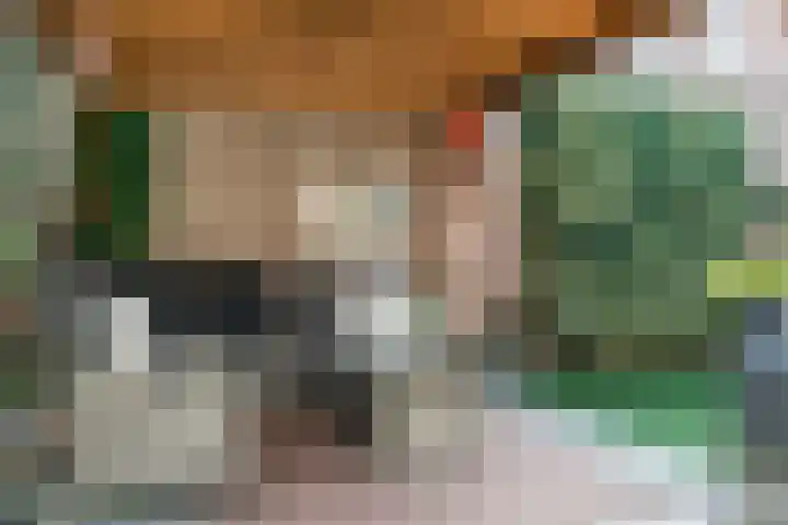 Graviuspad 4 Eindhoven thumbnail 31