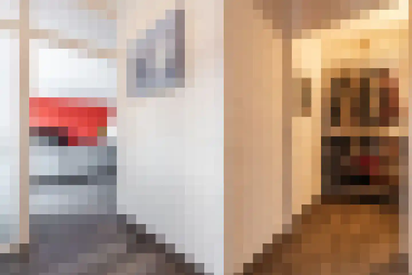 Graviuspad 4 Eindhoven thumbnail 5