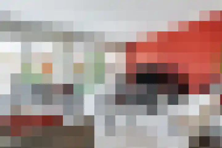 Graviuspad 4 Eindhoven thumbnail 9