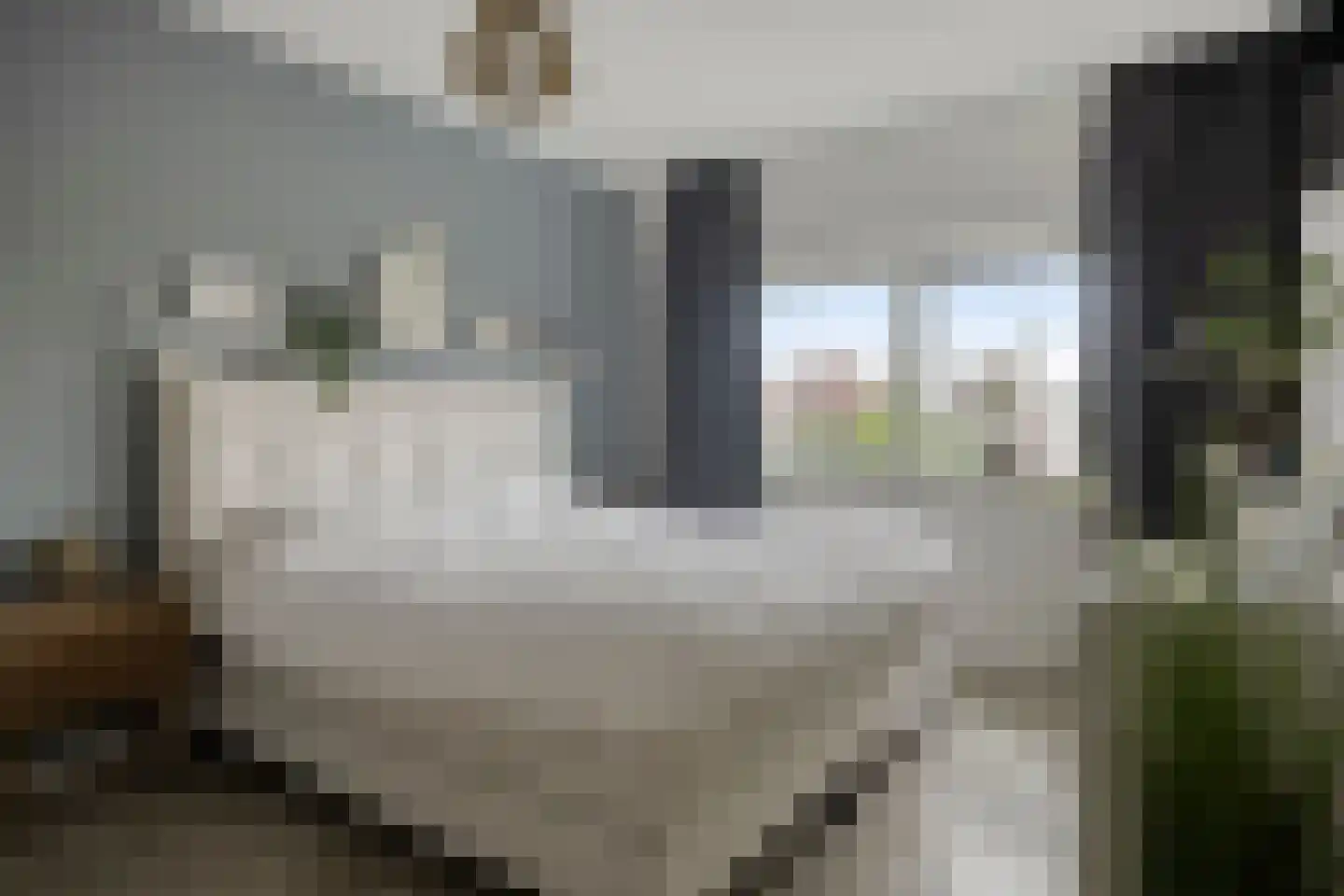 Gravure 11 Meppel thumbnail 18