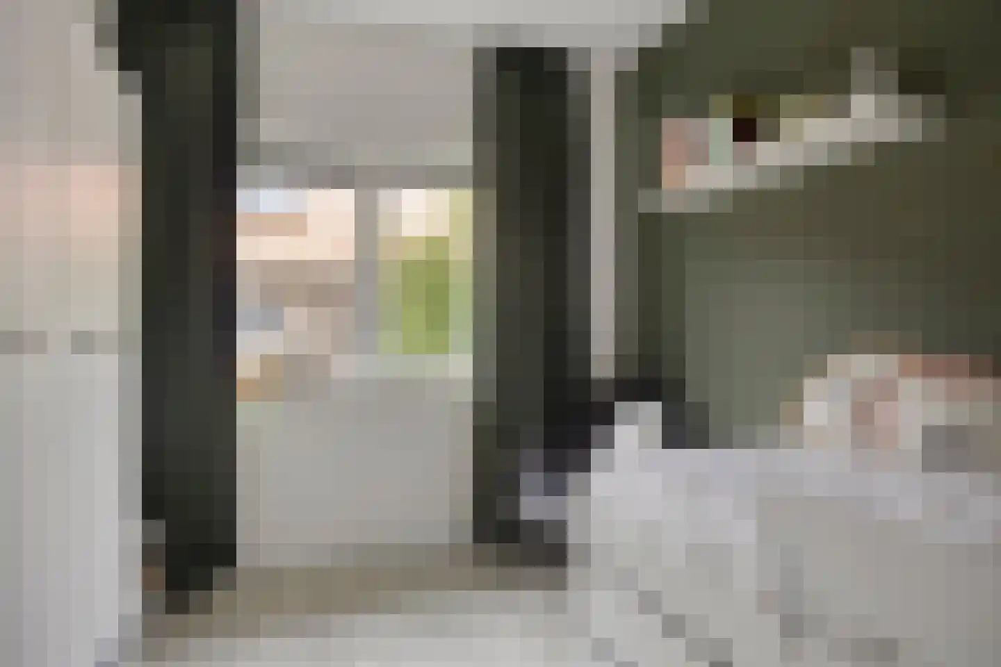 Gravure 11 Meppel thumbnail 21