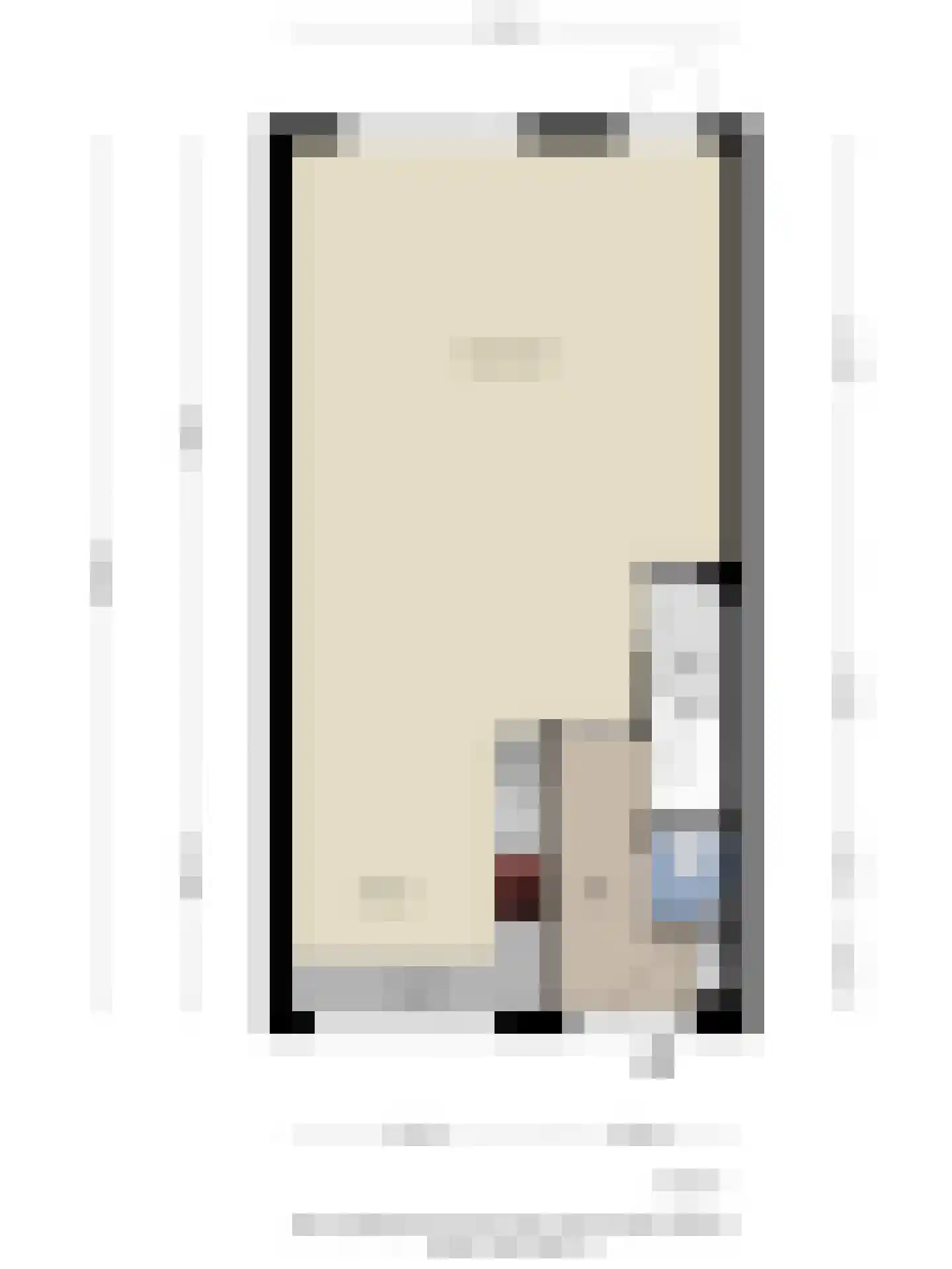 Gravure 11 Meppel thumbnail 40