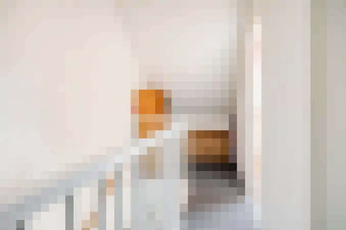 Gravure 16 Meppel thumbnail 26