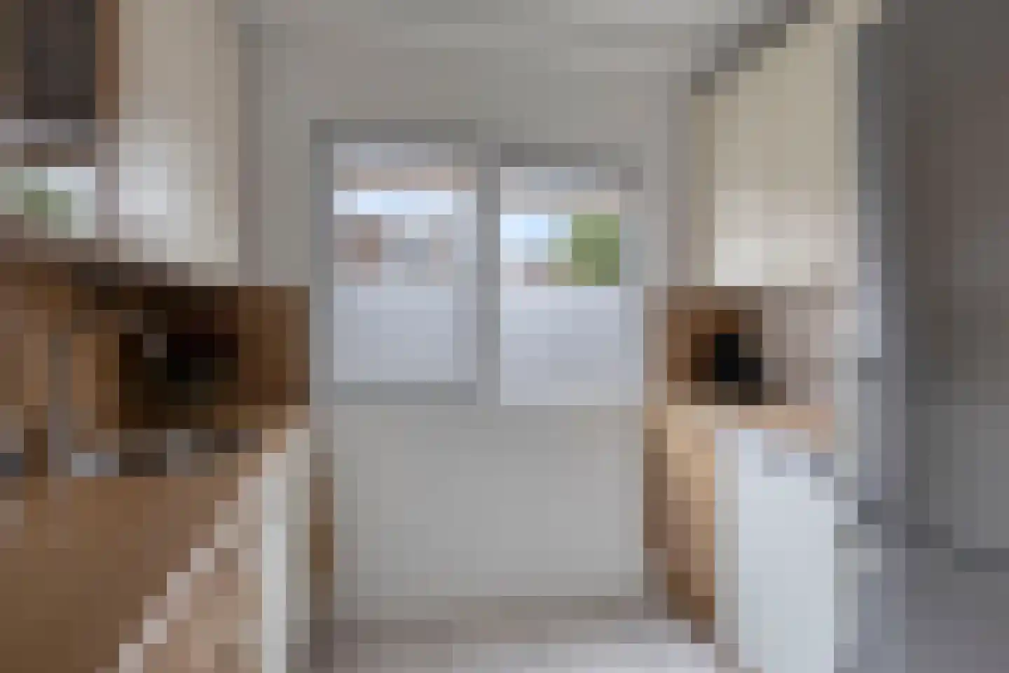 Gravure 23 Capelle aan den IJssel thumbnail 8