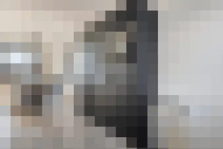 Gravure 4 Meppel thumbnail 12