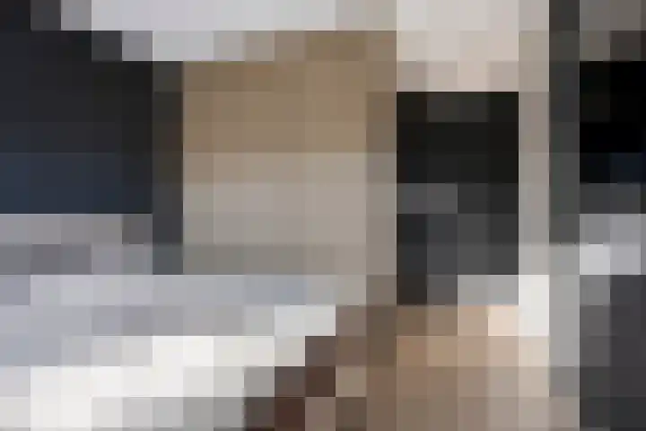 Gravure 4 Meppel thumbnail 15