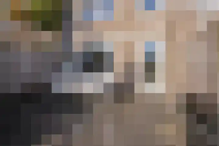Gravure 4 Meppel thumbnail 31