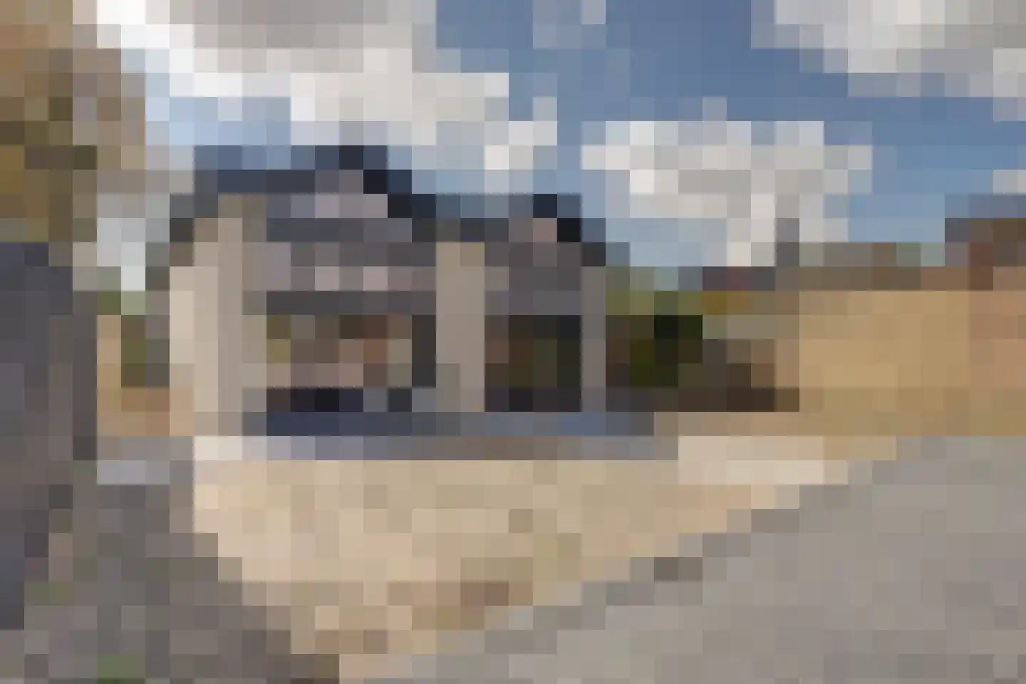 Graze Weitje 11 Rotterdam thumbnail 30