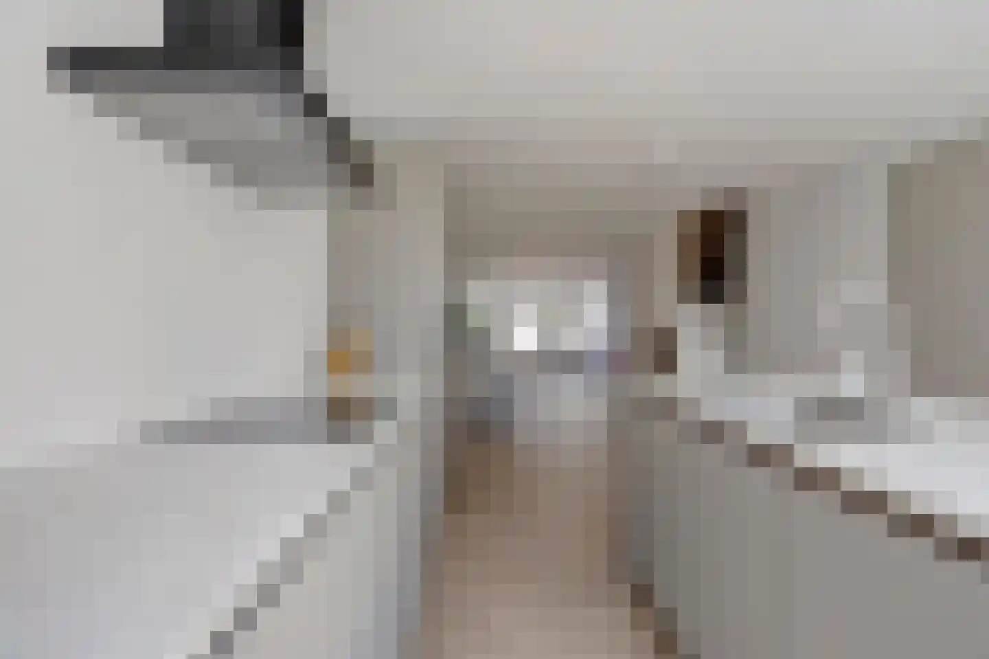 Graze Weitje 13 Rotterdam thumbnail 11