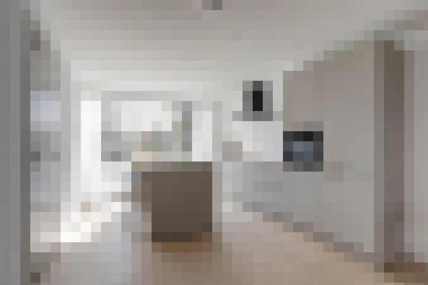 Graze Weitje 13 Rotterdam thumbnail 12