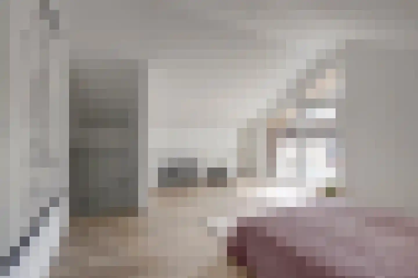 Graze Weitje 13 Rotterdam thumbnail 19