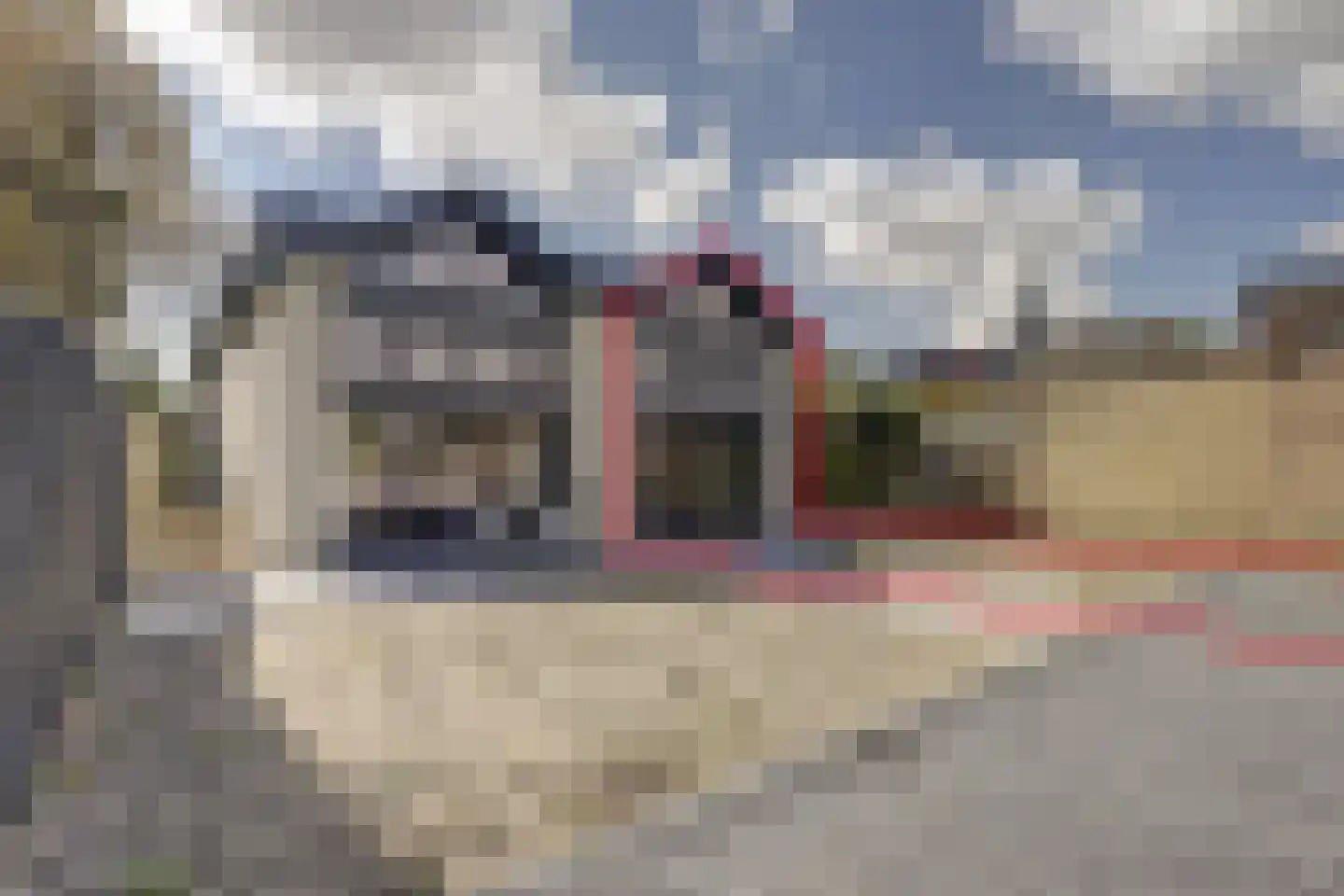 Graze Weitje 13 Rotterdam thumbnail 29