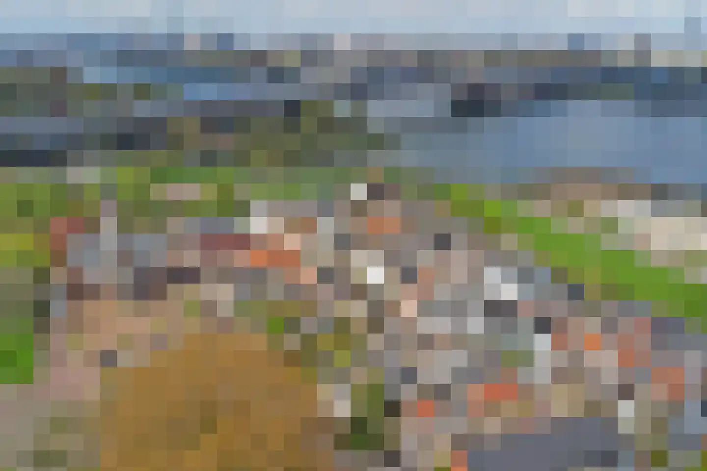 Graze Weitje 13 Rotterdam thumbnail 35