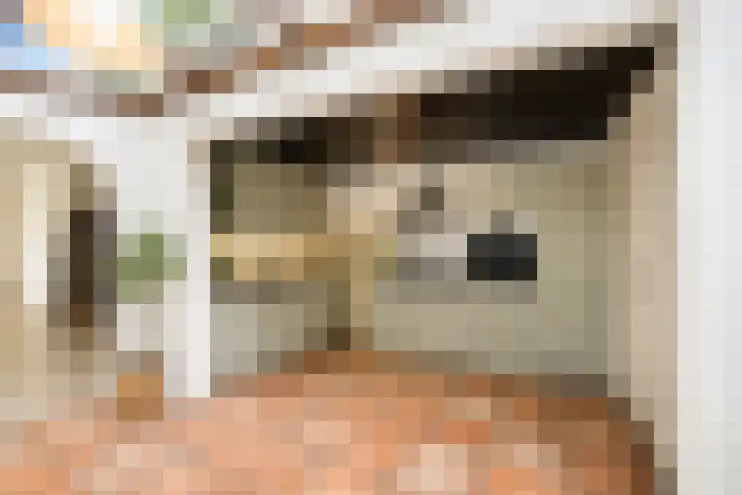 Grazendonkstraat 33 Breda thumbnail 4