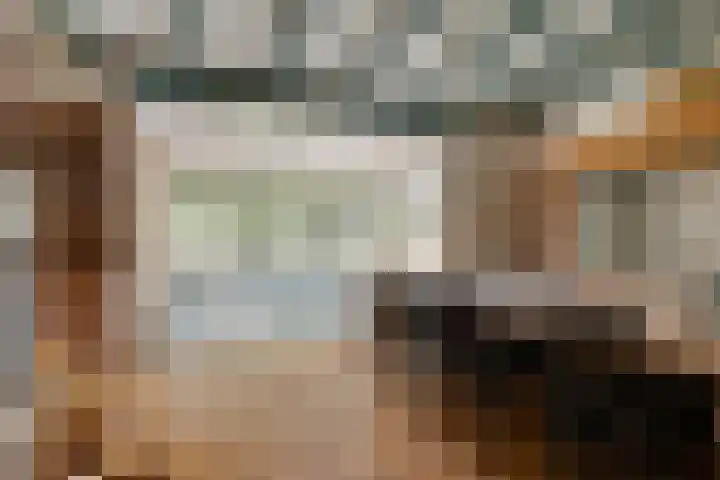 Grazenseweg 1 a Strijbeek thumbnail 11