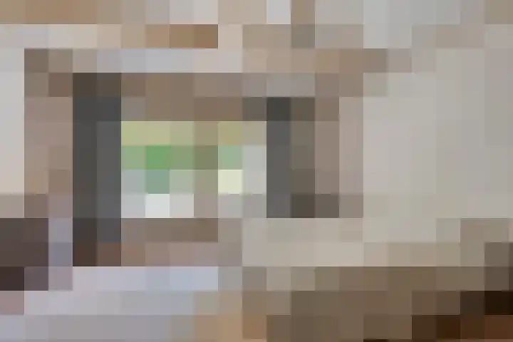Grazenseweg 1 a Strijbeek thumbnail 17