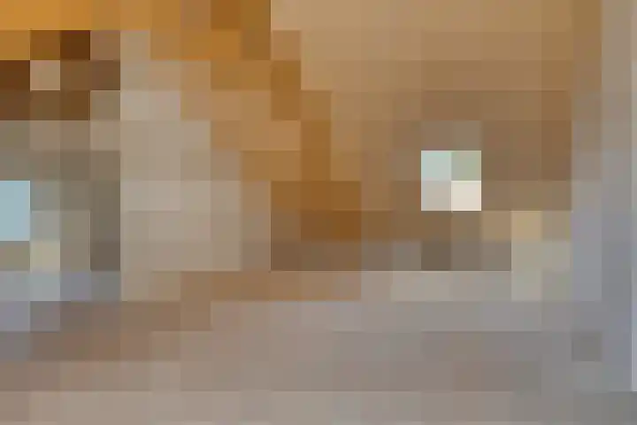 Grazenseweg 1 a Strijbeek thumbnail 22