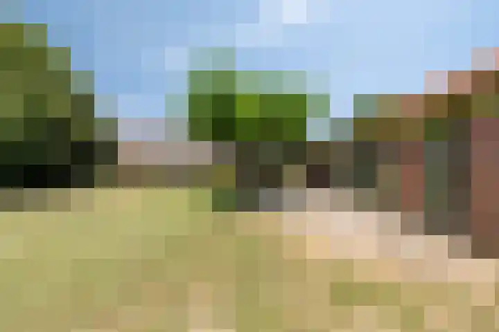 Grazenseweg 1 a Strijbeek thumbnail 28