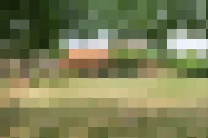 Grazenseweg 1 a Strijbeek thumbnail 29