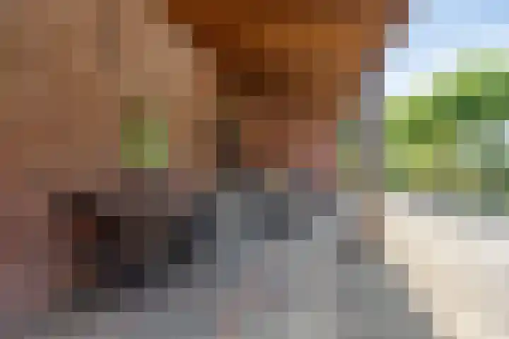 Grazenseweg 1 a Strijbeek thumbnail 30