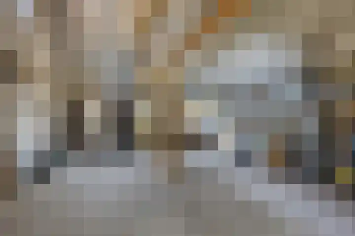 Grazenseweg 1 a Strijbeek thumbnail 31