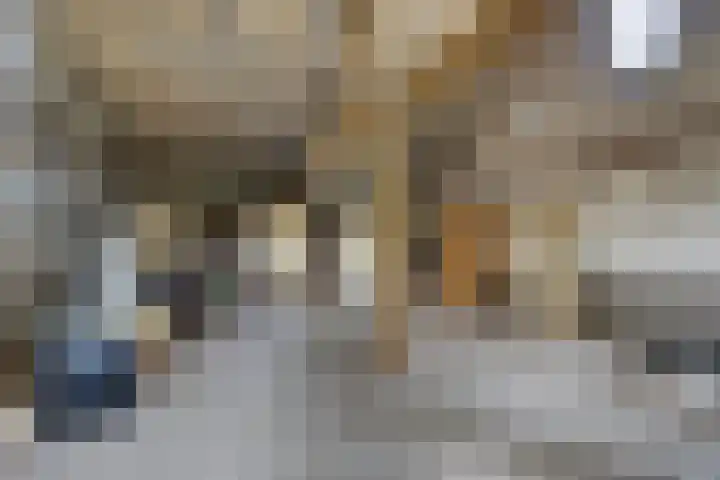 Grazenseweg 1 a Strijbeek thumbnail 32