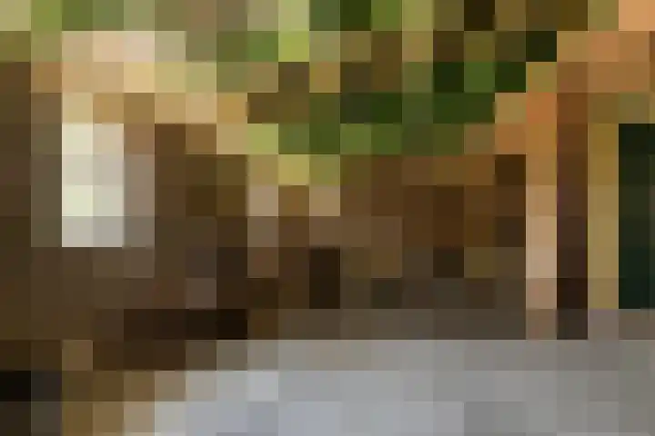 Grazenseweg 1 a Strijbeek thumbnail 33