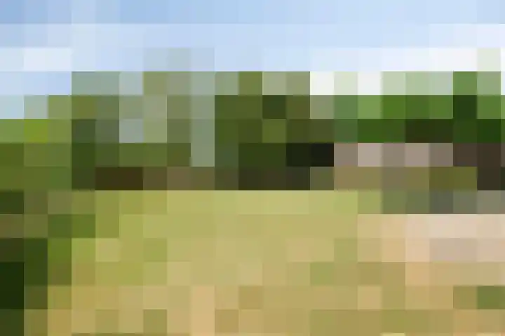Grazenseweg 1 a Strijbeek thumbnail 35