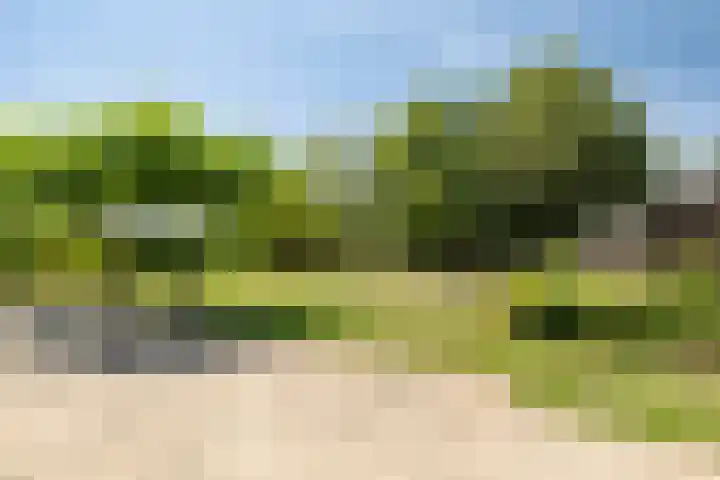 Grazenseweg 1 a Strijbeek thumbnail 36