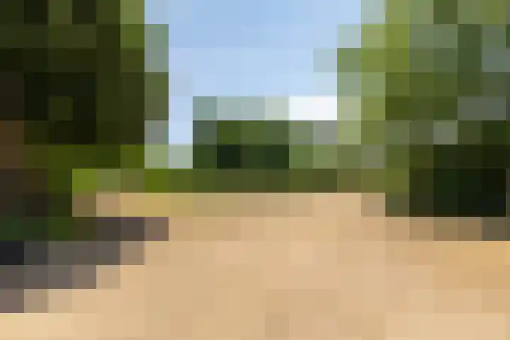 Grazenseweg 1 a Strijbeek thumbnail 37