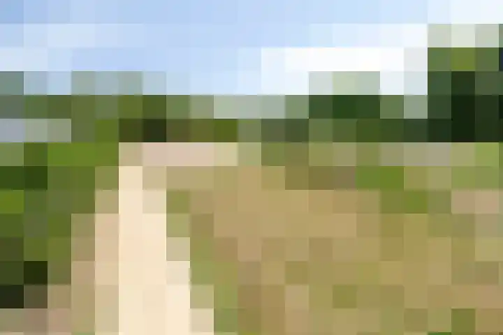 Grazenseweg 1 a Strijbeek thumbnail 38
