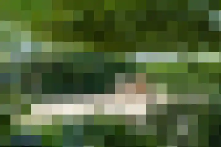 Grazenseweg 1 a Strijbeek thumbnail 39